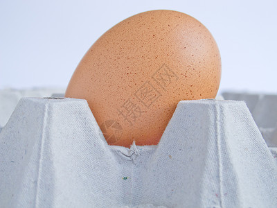 鸡蛋水平影棚背景图片