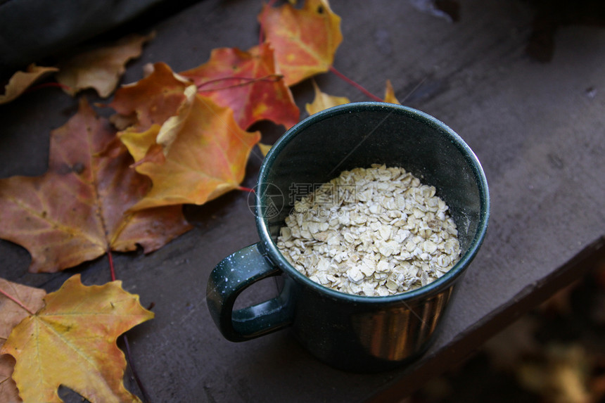 Oatmeal和秋季野营图片