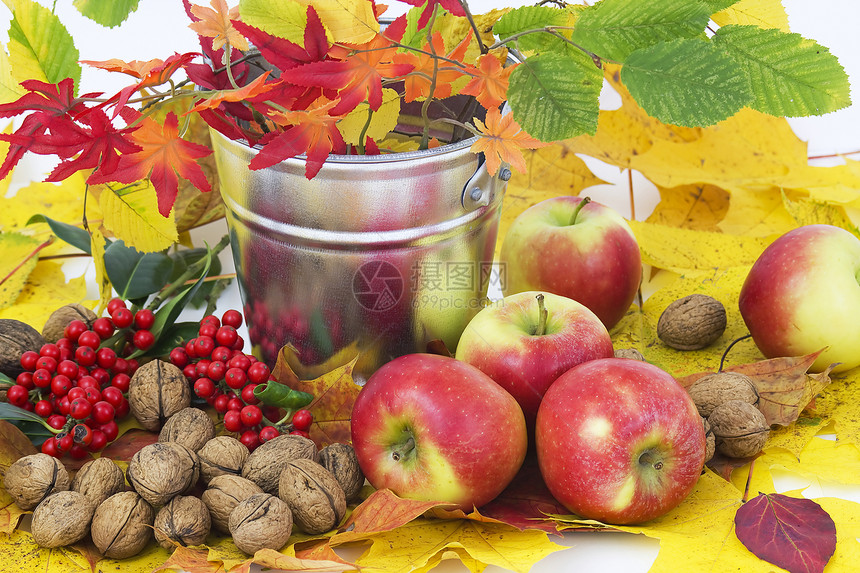 秋叶 红苹果和核桃的美丽配方花束金子橙子植物食物晴天柳条季节叶子收成图片