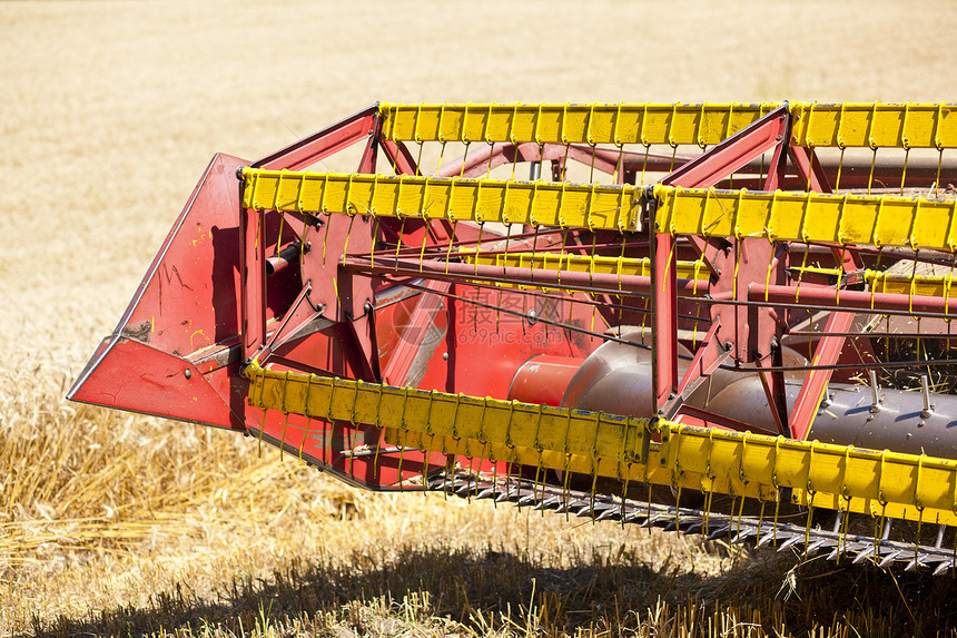 合并实地收获器天空植物稻草玉米种子机械场地谷物灰尘农业图片