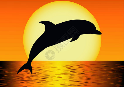 环滩岛海豚环影和平插图场景太阳海浪游泳哺乳动物荒野动物野生动物设计图片