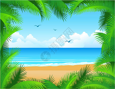 加勒比海岸海滩背景椰子蓝色异国地平线乐趣边界假期海景支撑太阳插画