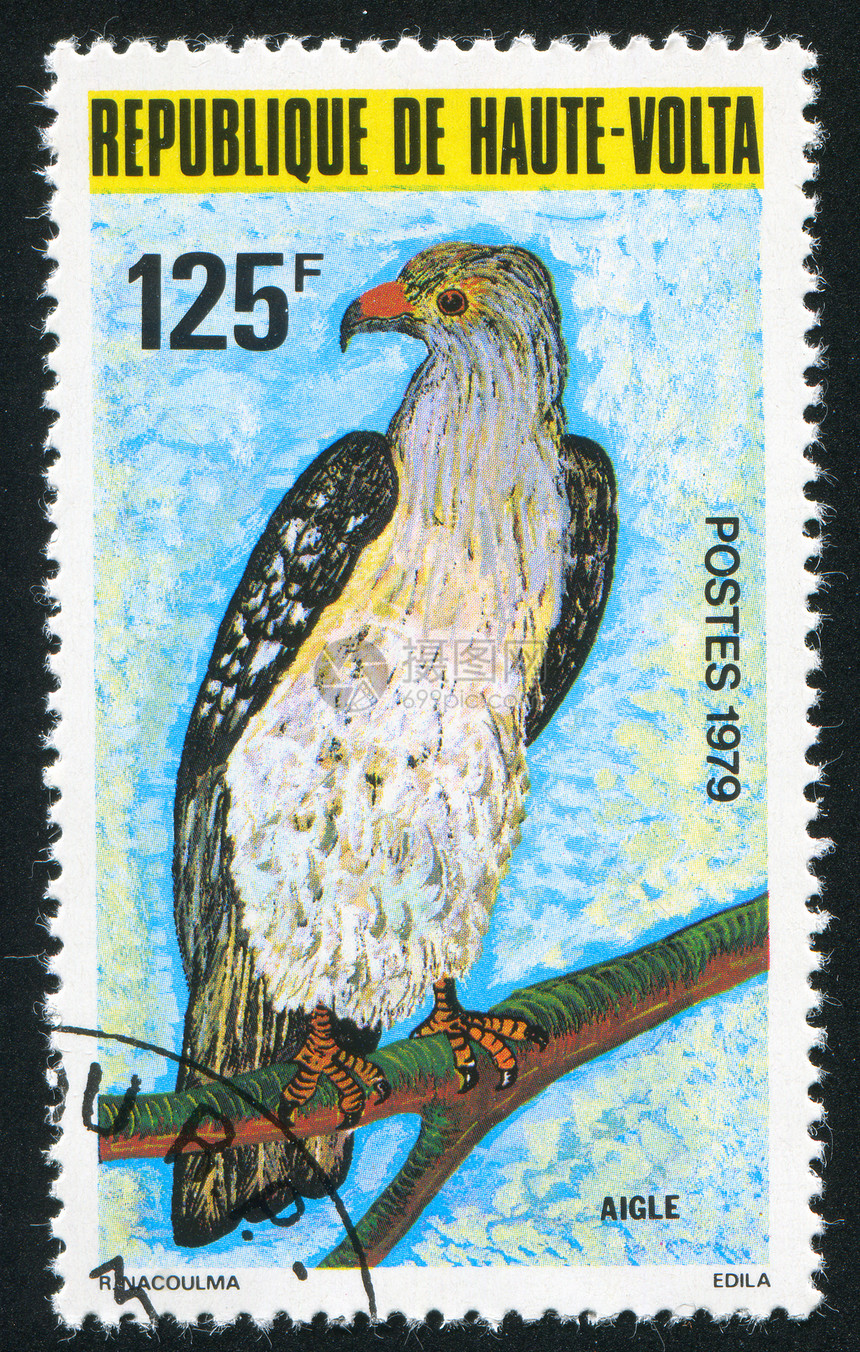 鹰历史性古董海豹邮票捕食者动物群脖子翅膀座位邮戳图片