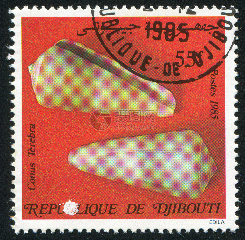 贝壳历史性环境热带邮票动物螺旋邮戳海豹信封海洋图片