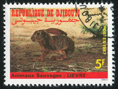 兔年画邮票信封自然高清图片