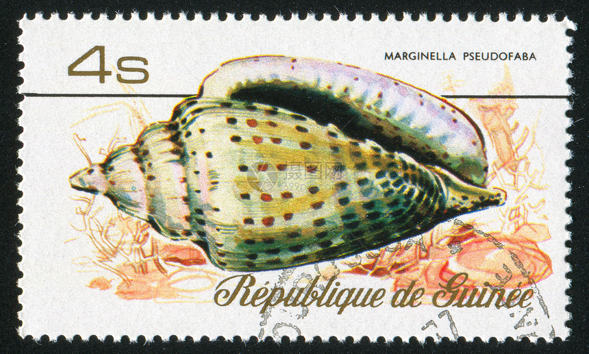 贝壳螺旋邮票环境热带邮资野生动物海豹集邮历史性信封图片