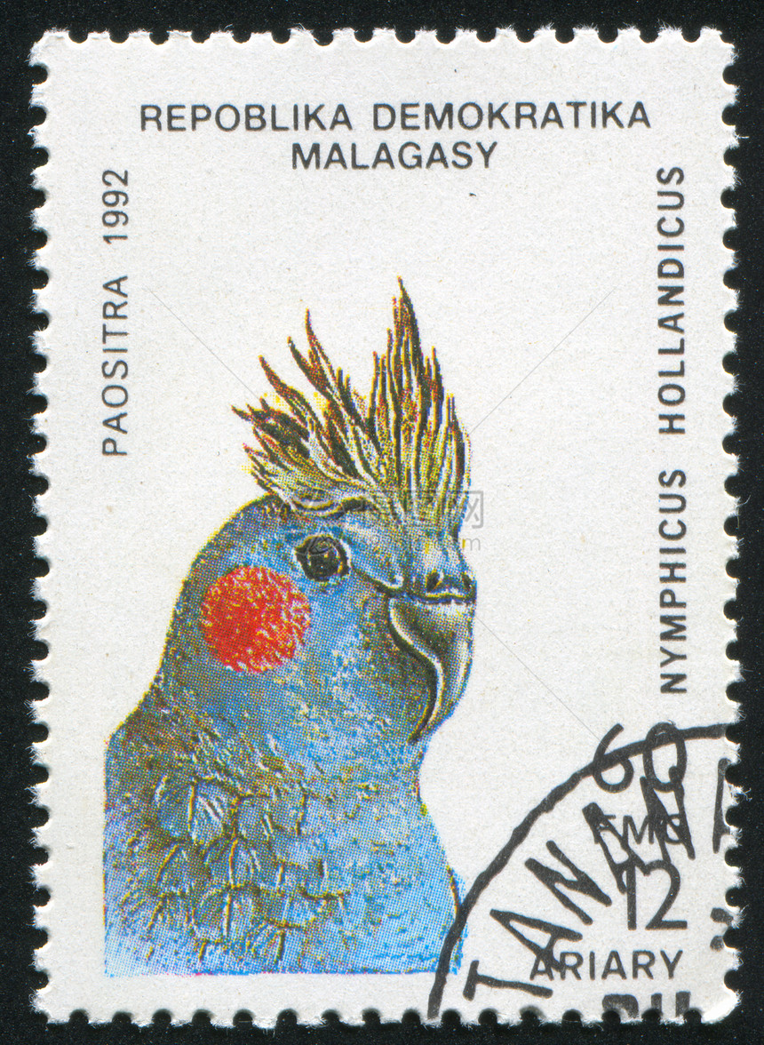 鹦鹉邮戳海豹集邮羽毛邮件邮票热带历史性明信片动物图片