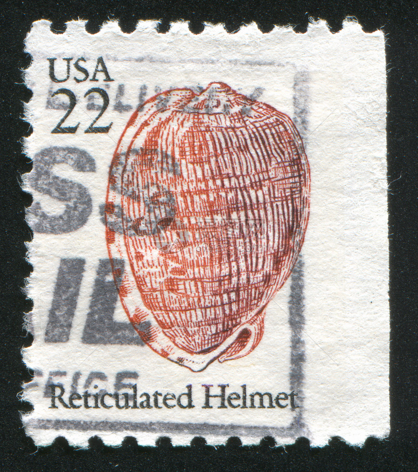 贝壳邮戳螺旋海洋化石动物群邮资条纹集邮邮票遗产图片