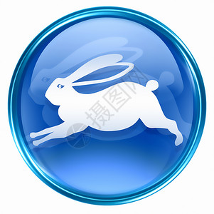 兔子黄鼠狼蓝色图标 孤立在白色上绘画星座生日圆形书法宇宙反射按钮汉子日历背景图片