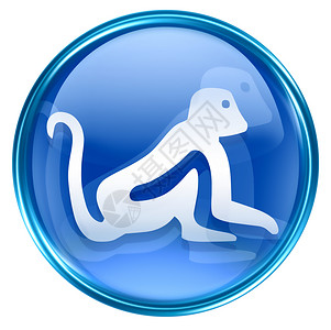猴子图标猴子Zodiac图标蓝色 孤立在白色背景上宇宙汉子玻璃反射日历圆形八字生日书法十二生肖背景
