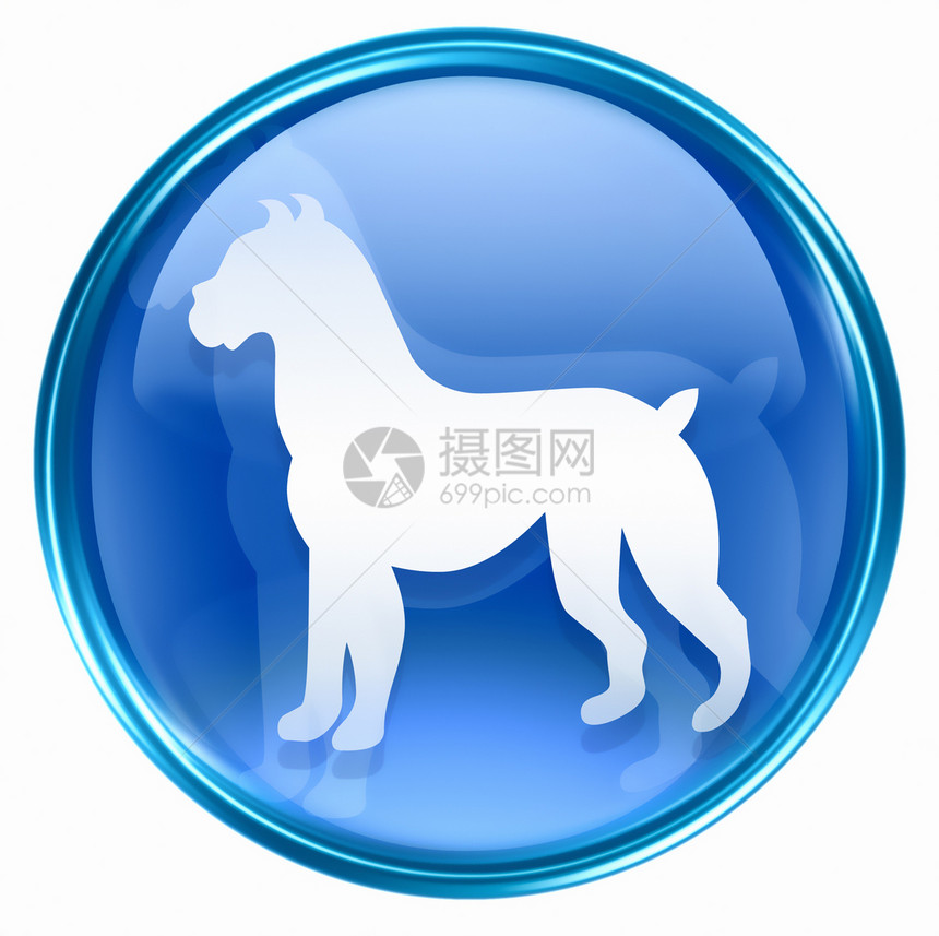 狗Zodiac图标蓝色 在白色背景上隔离宇宙星星玻璃生日按钮八字书法十二生肖插图日历图片