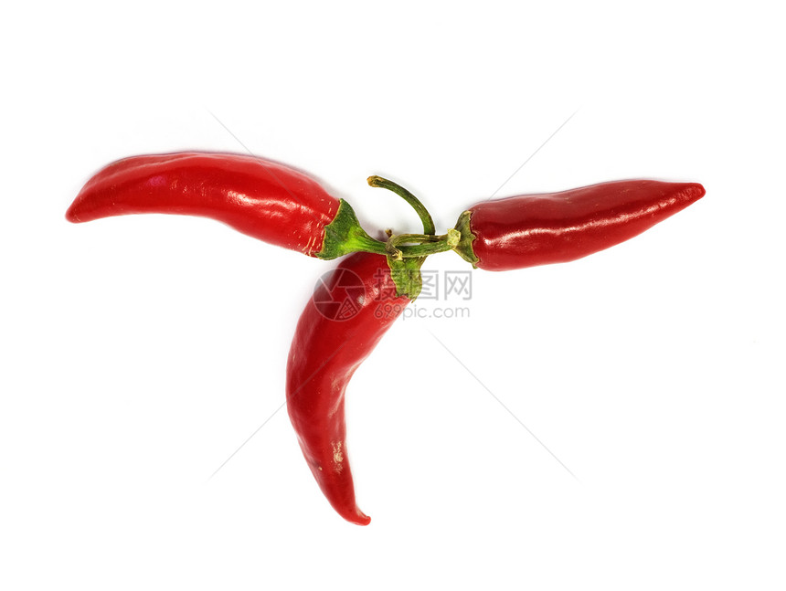 三个辣椒营养宏观绿色香料食物白色胡椒烹饪异国红色图片
