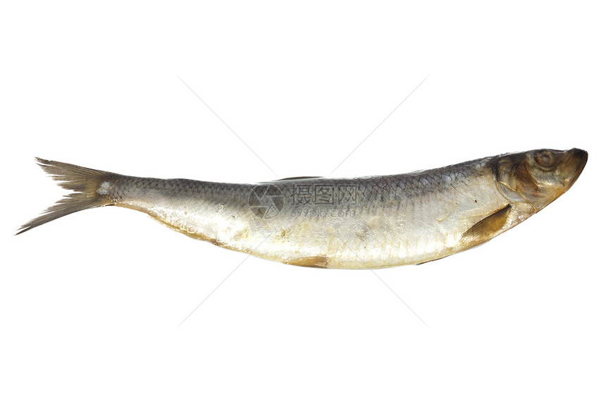白底的咸鱼海鲜鲱鱼钓鱼妻子盐渍白色食物皮肤尾巴图片