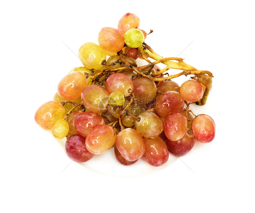新鲜葡萄浆果季节性紫色植物装饰品栽培生长红色水果食物图片