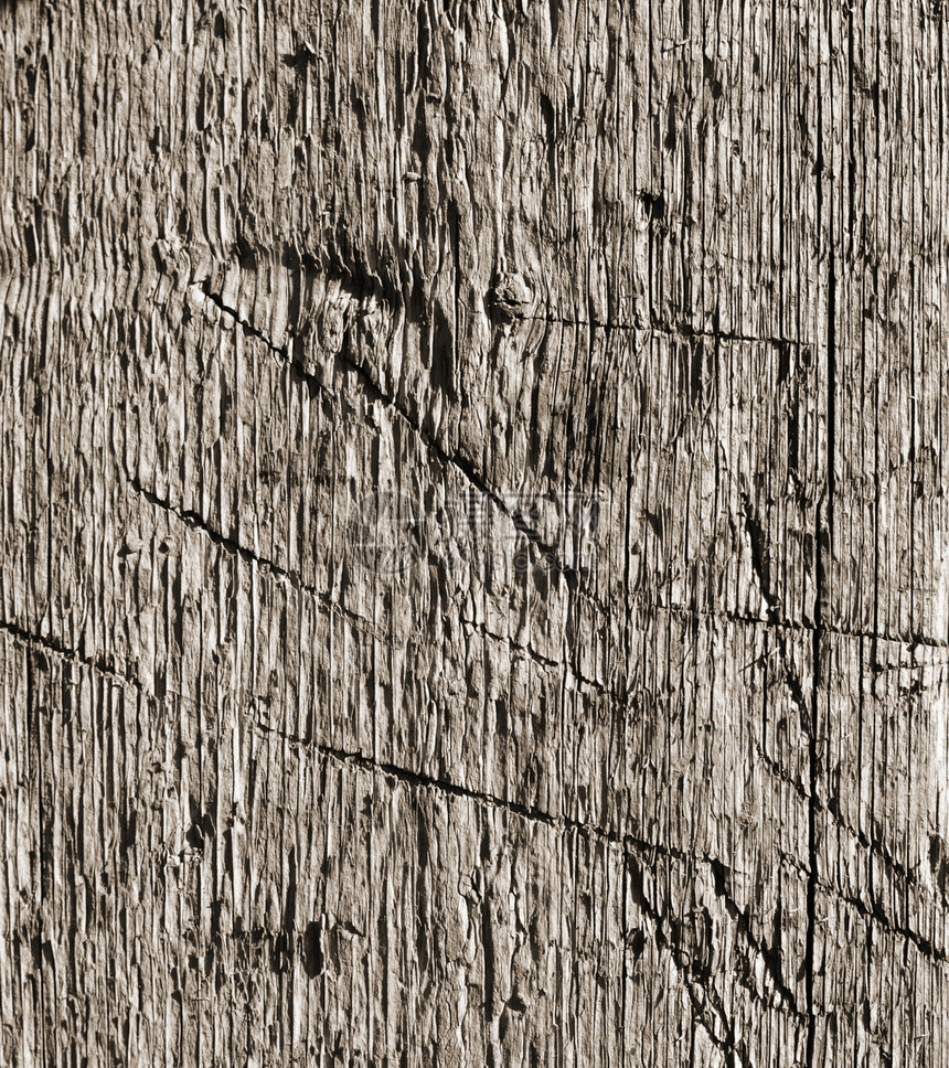 木质质风化生活森林条纹历史材料宏观树干戒指木头图片