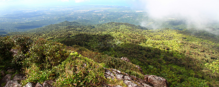 波多黎各雨林天堂薄雾森林敬畏国家荒野旅游里科顶峰栖息地图片