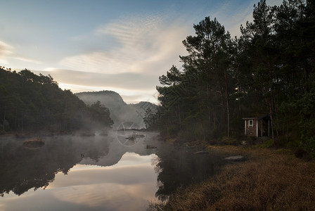 约翰内斯瓦特网晨雾地景自然界森林高清图片