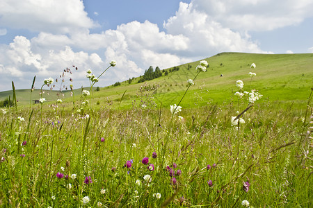 夏季草地阳光好天气晴天爬坡收成上坡天空农民农业蓝色高清图片