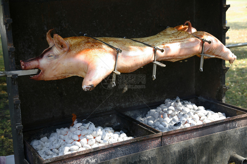 条形传统节日拉刀日光猪肉架子烹饪食物小猪炙烤图片