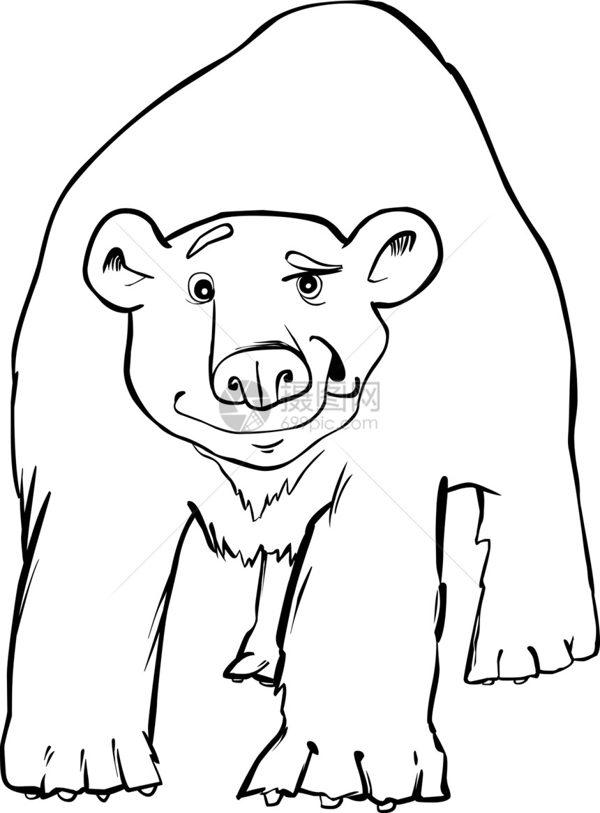 北极熊颜色页面动物园哺乳动物卡通片插图荒野绘画白色动物群野生动物快乐图片