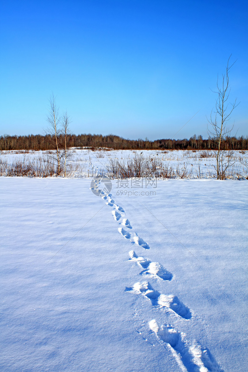 雪上人类痕迹灌木丛远足者雪花木头途径阴影阳光小路步道粒状图片
