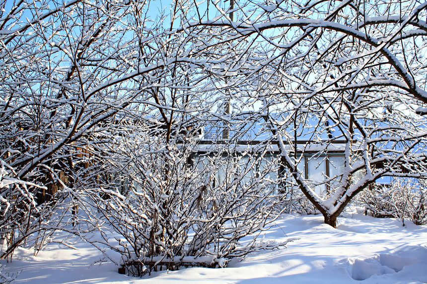 冬季花园公园寒冷娱乐冷冻水果天气座位寒意森林树木图片