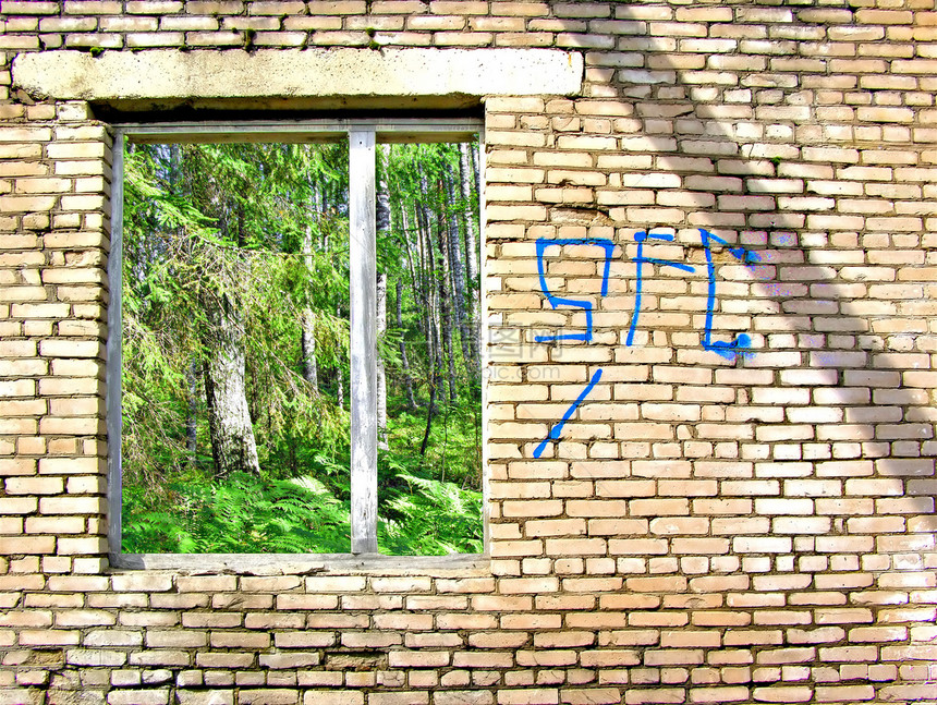 从旧窗口中查看 抽象木材矩形荒野墙纸森林石头木头建筑学水泥植物图片