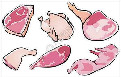 原只鸡原肉类收集插画