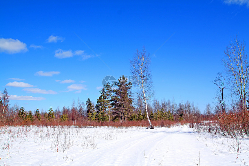 冬季木柴中的老旧道路森林时间痕迹木头天空冻结城市季节公园场景图片