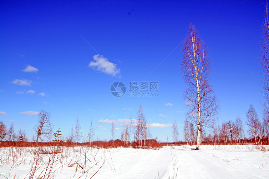 冬季木柴中的老旧道路冻结天空城市场景森林公园季节时间痕迹木头图片