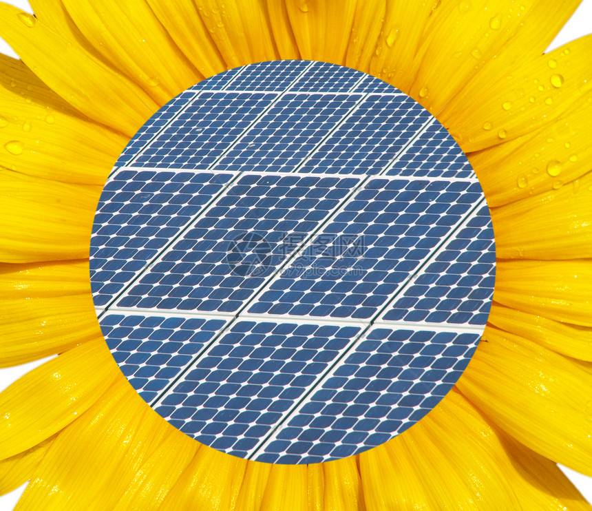 能源概念向日葵花园电气花粉植物学光伏控制板活力太阳技术图片