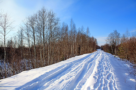 冬季木柴捷径娱乐树木阳光街道森林地平线树枝车道降雪背景