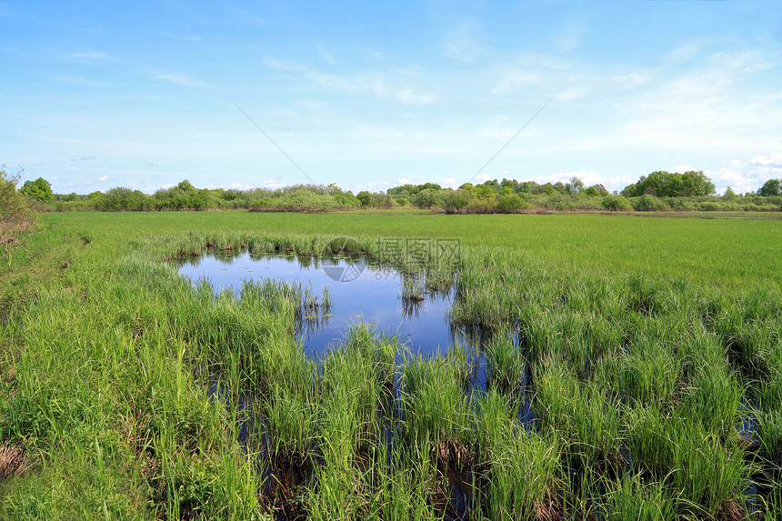 春天草原上的小湖生长草地场地生态支撑环境远景公园反射植物群图片