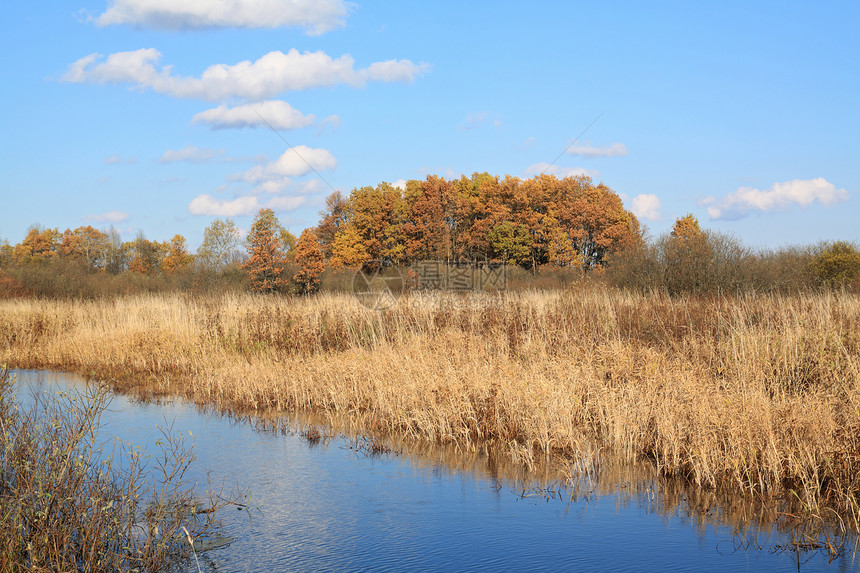 秋天田地上的小河光束牧场反射天空场地场景自由风景草本植物天气图片