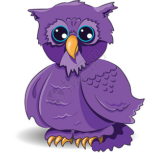 猫头鹰动物群鹦鹉玩具眼睛惊喜紫色杂色羽毛蓝色卡通片背景图片