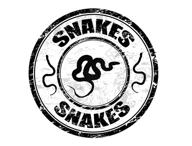 蛇邮票蛇章插画