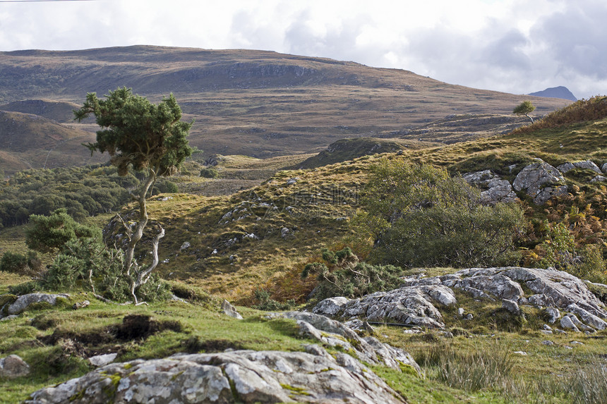 苏格兰高地的农村地貌图片