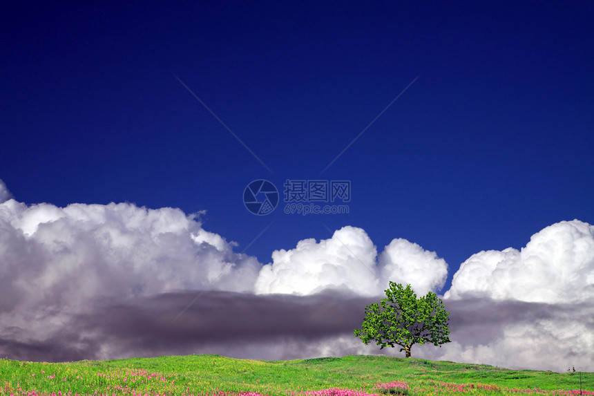 云云天空自由风景天气橡木摄影戏剧性蓝色场景草本植物正方形图片