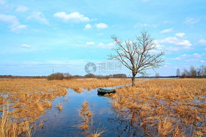 橡树附近的橡胶船分支机构洪水猎人草地阴影草本植物码头孤独季节气候图片