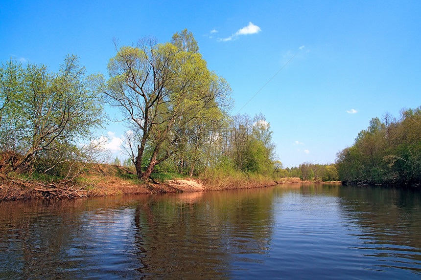 沿海河生长木头假期公园海浪橡木野餐旅行河岸淡水图片