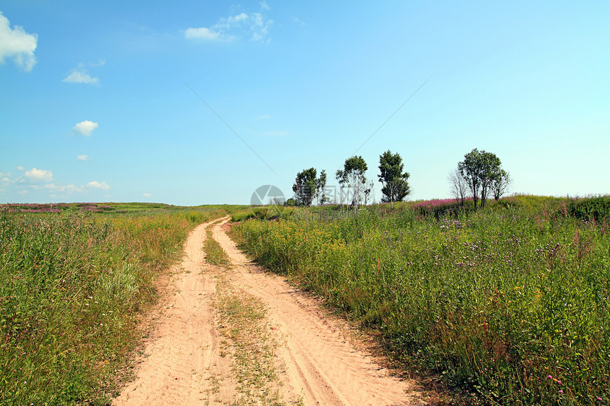 穿越田野的公路牧场地平线天空环境孤独树叶草本植物蓝色农村场地图片
