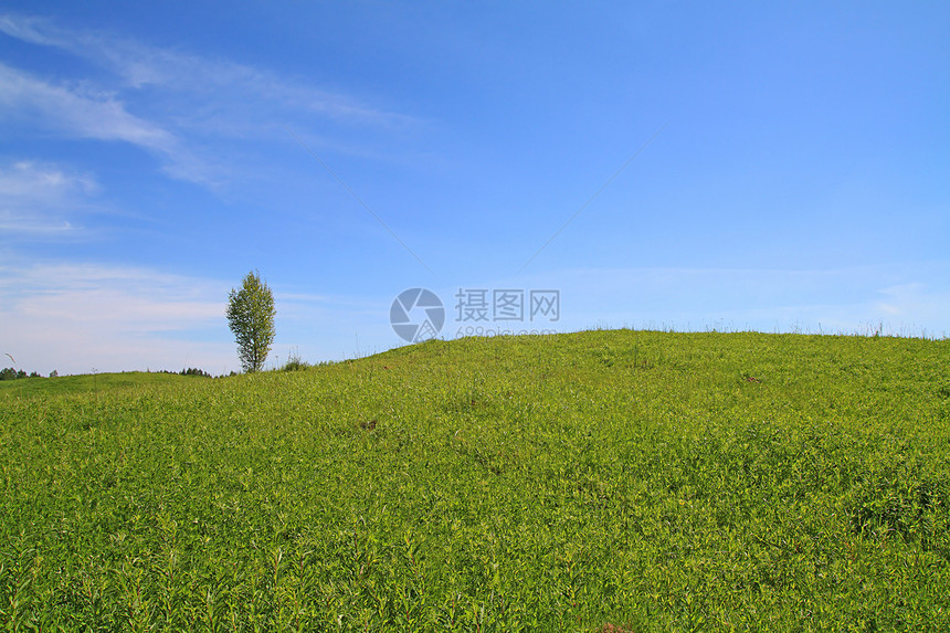 野上闪光季节海滩阳光自由植物森林场地土地叶子图片