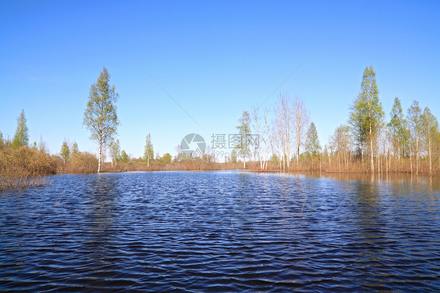 木材湖风景生态天空植物群荒野支撑反射环境蓝色季节图片