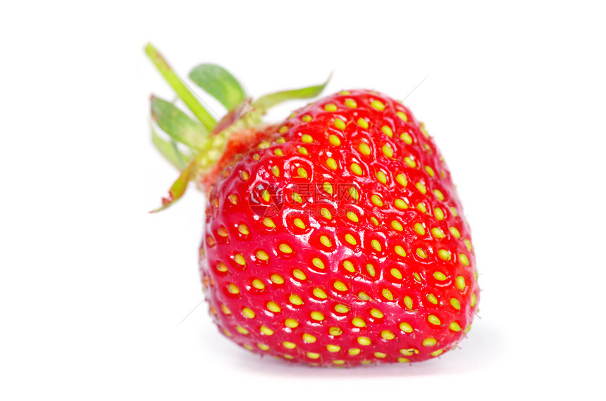 草莓活力白色种子浆果宏观红色食物水果团体叶子图片