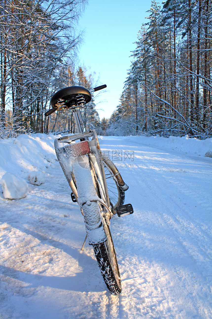 冬季路上的旧自行车乐趣运动蓝色天空针叶雪堆下雪车轮场景季节图片