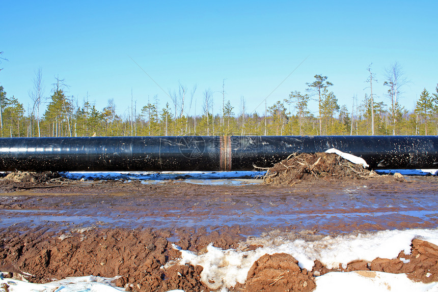天然气气管森林商业管道寒意木头针叶林力量金属工程工业图片