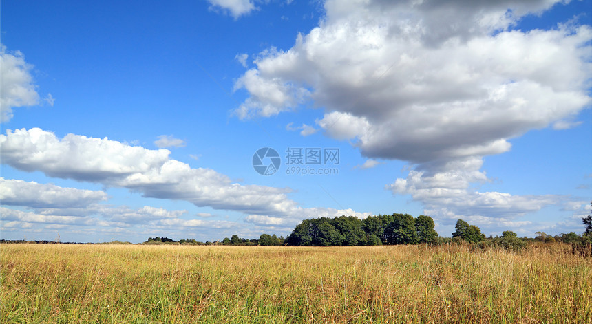 秋季田间干草药草地平线树木树林木头场景美化牧场季节土地植物图片