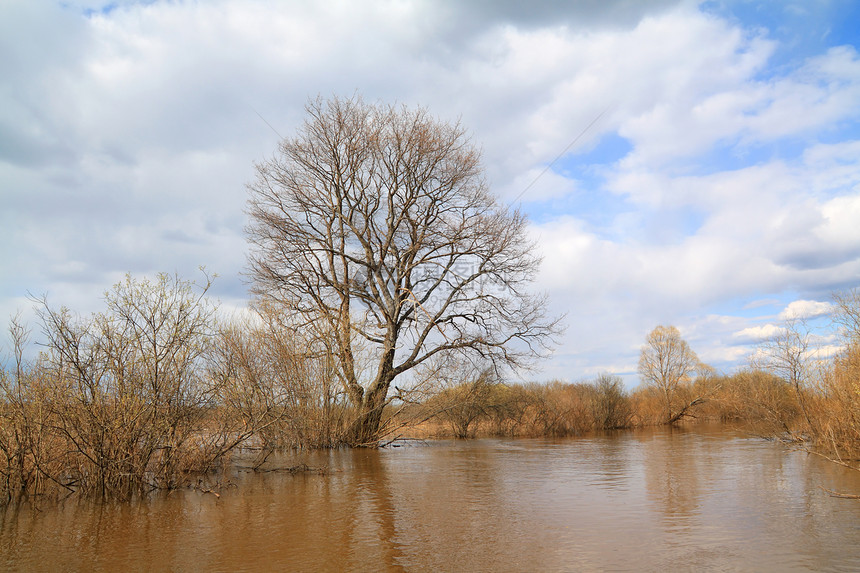 洪水泉水中的林木太阳旅行土地场景溪流孤独反射叶子波纹季节图片