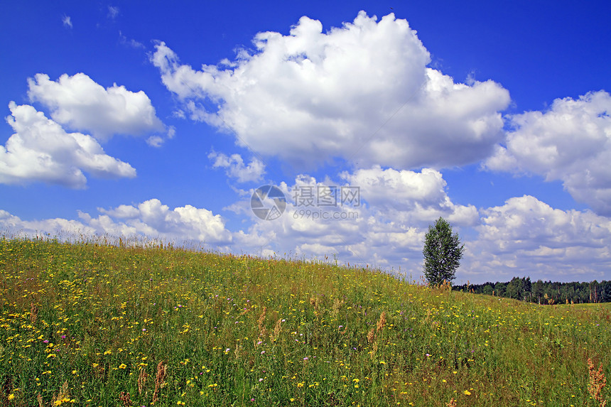 夏季外地荒野天空晴天蓝色农村天气环境空地花瓣淡紫色图片