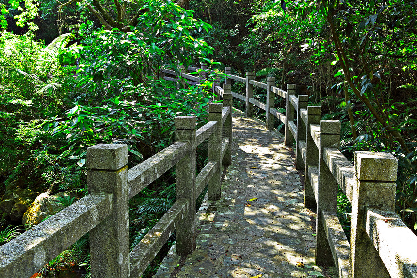 森林道路阳光农村街道国家林地水平乡村季节木头风景图片